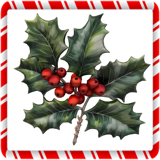 Holly Cluster,holly