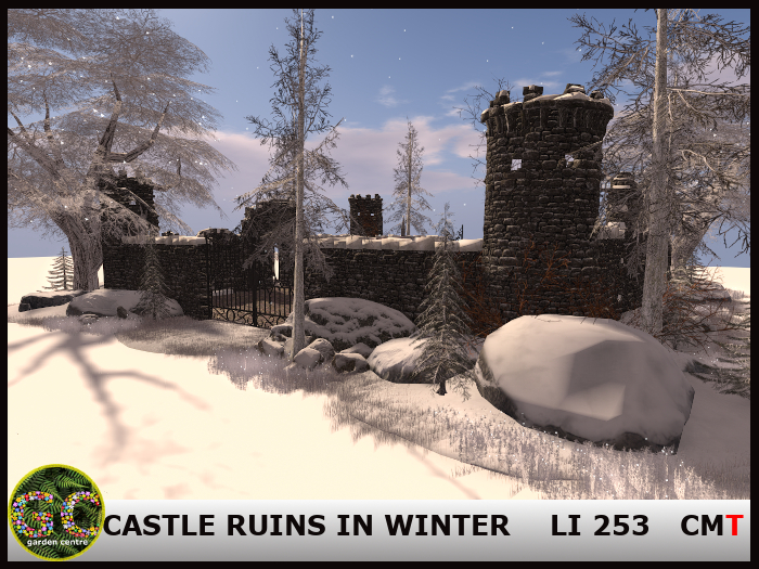 CASTLE RUINS IN WINTER