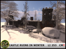 CASTLE RUINS IN WINTER