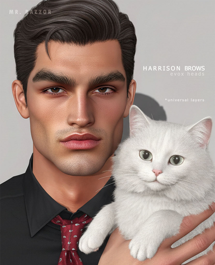 [MR] Harrison Brows for EVOX Heads