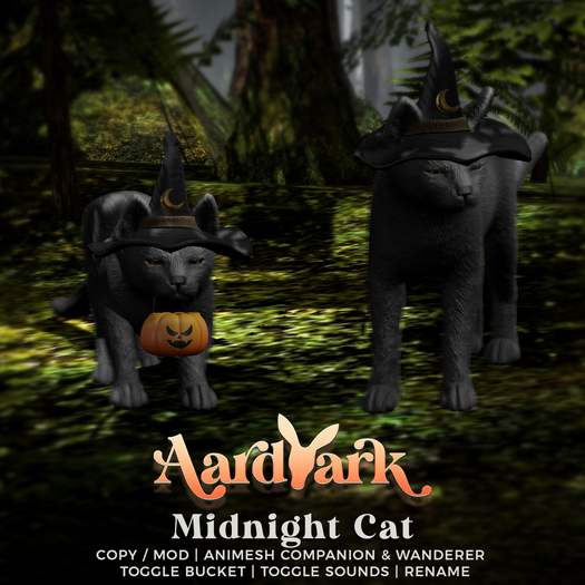 Aardvark : Midnight Cat 
