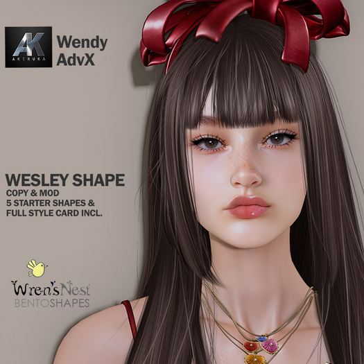 AKERUKA WENDY SHAPE - { wren's nest } - Wesley