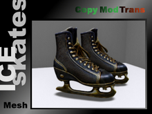Mesh Victorian steampunk ice skates