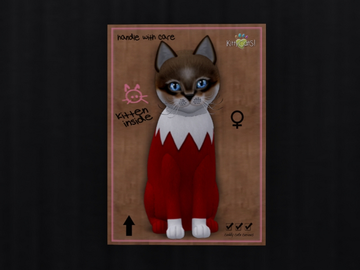KittyCatS Box - Winter 2021
