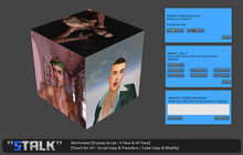 [STALK] Worksheet Cube [Display Multi Script]