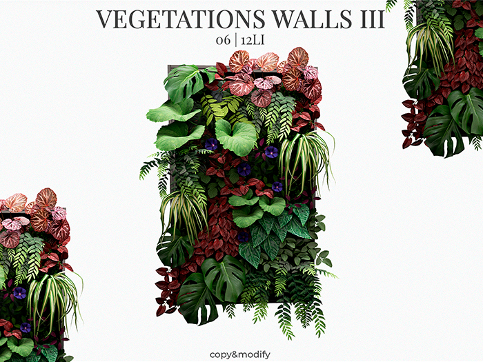 MINIMAL - Vegetation Walls III 6
