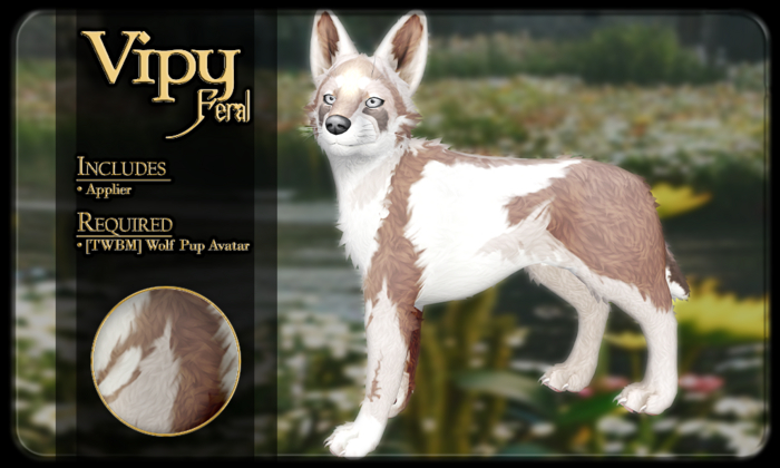 FK* Vipy ☾☾2☽☽ ☾☾Feral☽☽ ☾☾TWBM Wolf Pup☽☽