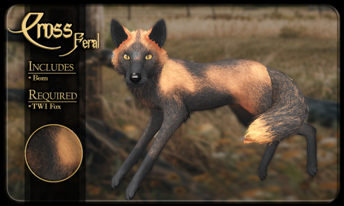 FK* Cross ☾☾2☽☽ ☾☾Feral☽☽ ☾☾TWI Fox☽☽