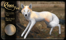 FK* Cross ☾☾4☽☽ ☾☾Feral☽☽ ☾☾TWI Fox☽☽