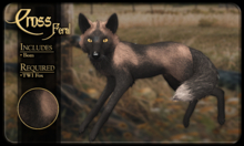FK* Cross ☾☾5☽☽ ☾☾Feral☽☽ ☾☾TWI Fox☽☽