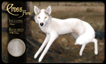 FK* Cross ☾☾6☽☽ ☾☾Feral☽☽ ☾☾TWI Fox☽☽