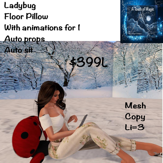 Cute Ladybug floor pillow for 1 auto sit auto props-Box LI=3