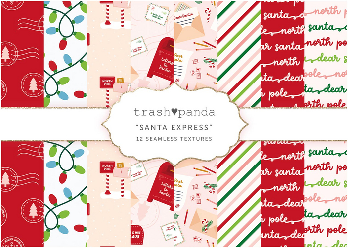 Trash Panda - Santa Express