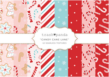 Trash Panda - Candy Cane Lane