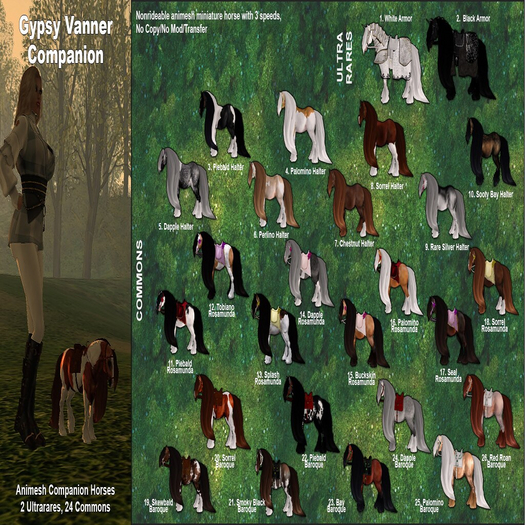 3*E* RHR Companion Gypsy Vanner Piebald Rosamunda
