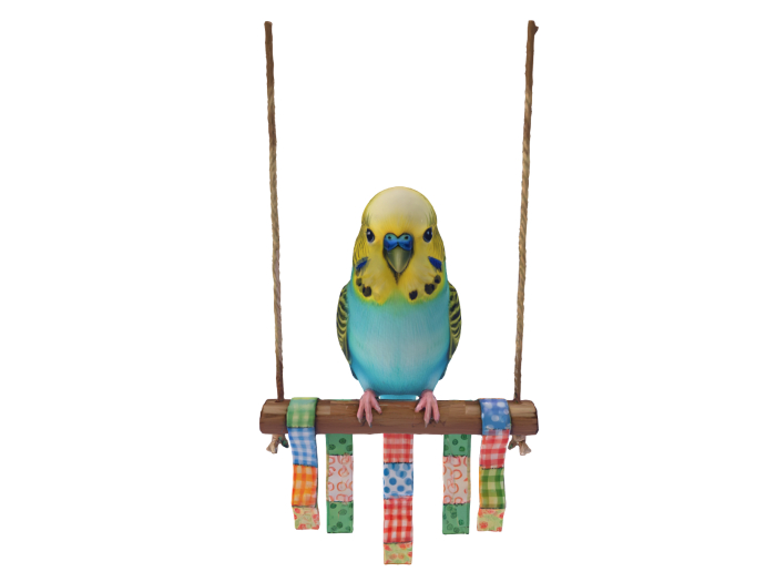 HB: Parakeet Perch Swing FuLL PERM