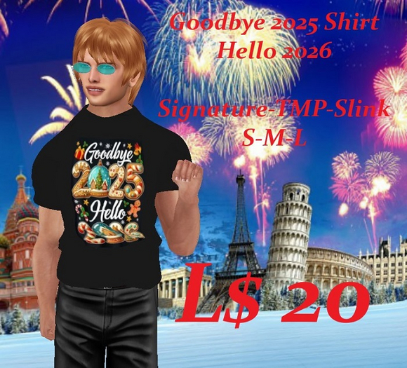 Goodbye 2025-Shirt
