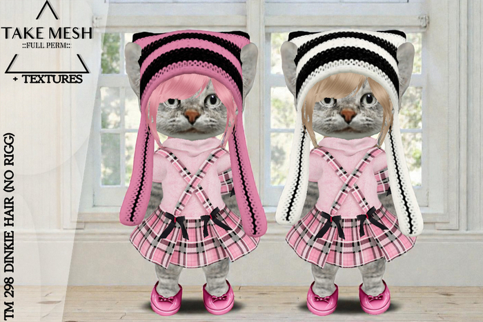 ! TakeMesh - TM 298 DINKIE HAIR (NO RIGG)