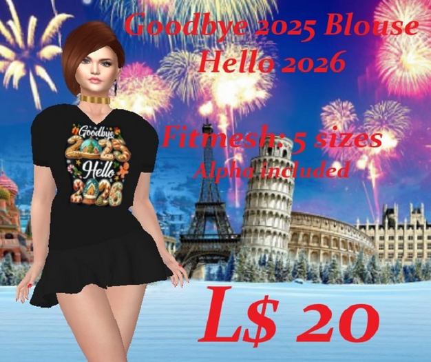 Goodbye 2025-Blouse