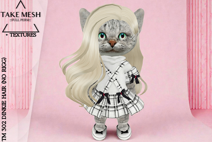 ! TakeMesh - TM 302 DINKIE HAIR (NO RIGG)