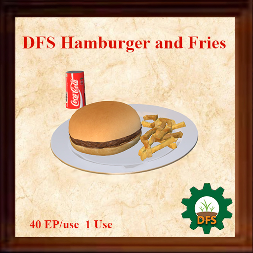 DFS Hamburger and Fries