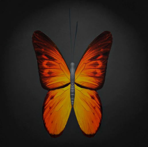 {Papillon} Fe/Med/Nor/Fuu/Butterfly/HalloweenD Cocoon