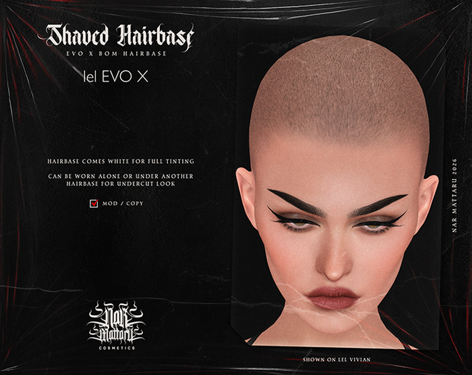 /NAR/ Shaved Base /EVO X