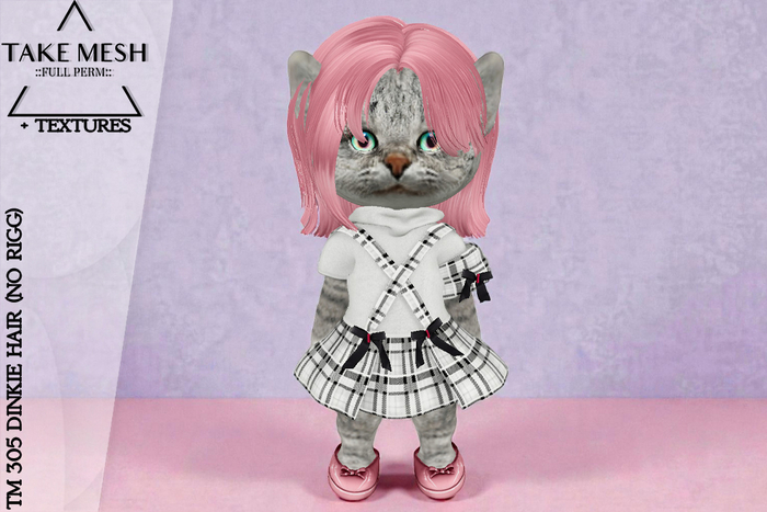 ! TakeMesh - TM 305 DINKIE HAIR (NO RIGG)