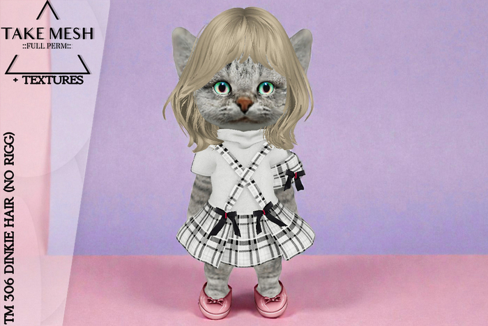 ! TakeMesh - TM 306 DINKIE HAIR (NO RIGG)