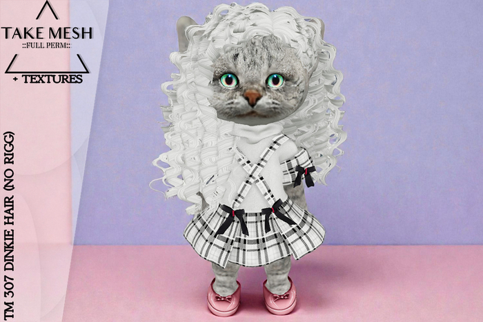 ! TakeMesh - TM 307 DINKIE HAIR (NO RIGG)