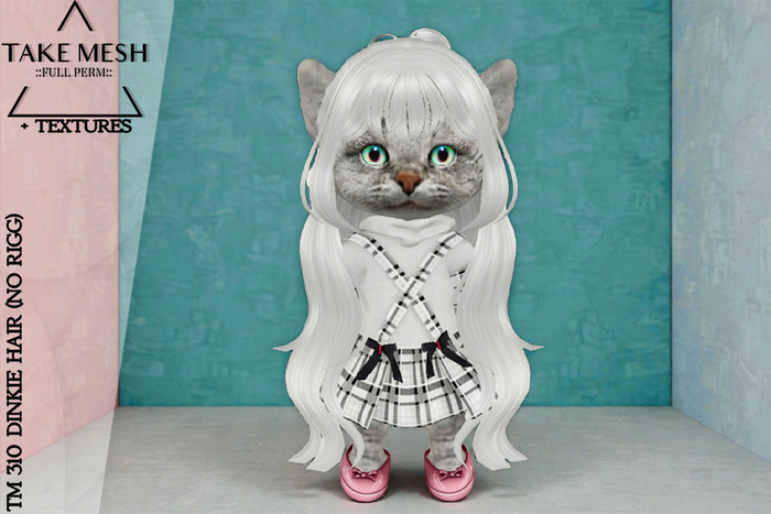 ! TakeMesh - TM 310 DINKIE HAIR (NO RIGG)