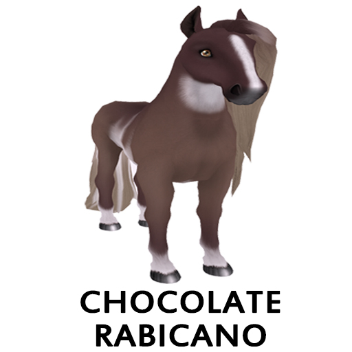 Female, Chocolate Rabicano, Heart Element