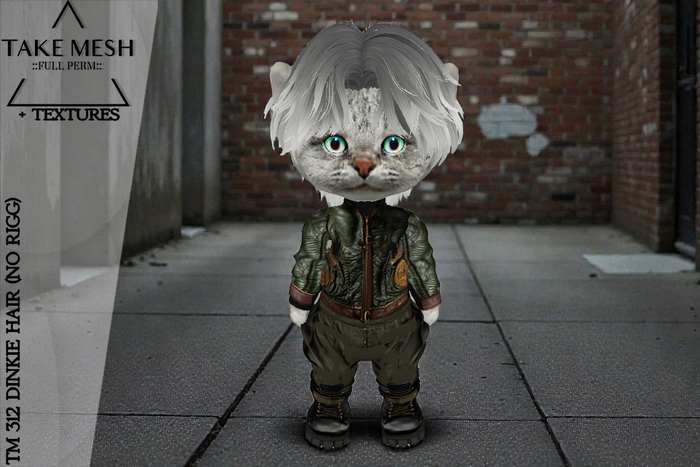! TakeMesh - TM 312 DINKIE HAIR (NO RIGG)