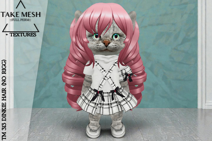 ! TakeMesh - TM 313 DINKIE HAIR (NO RIGG)