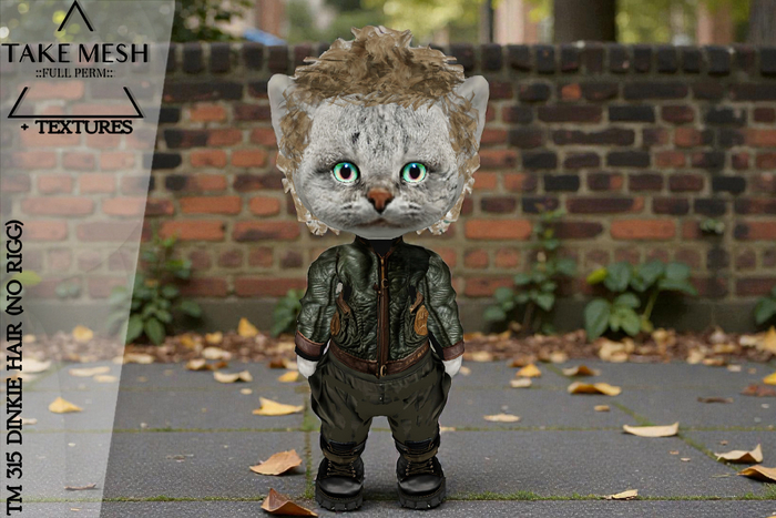 ! TakeMesh - TM 315 DINKIE HAIR (NO RIGG)