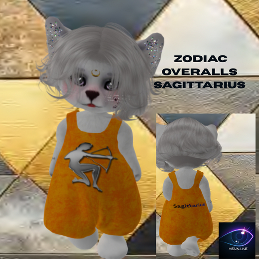 50VISUALLINE  SAGITTARIUS OVERALLS BOXED