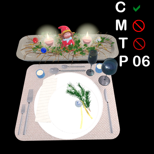 CHRISTMAS _SET_DINNER_DECOR