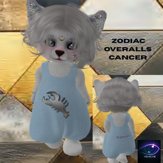 50VISUALLINE  CANCER OVERALLS BOXED