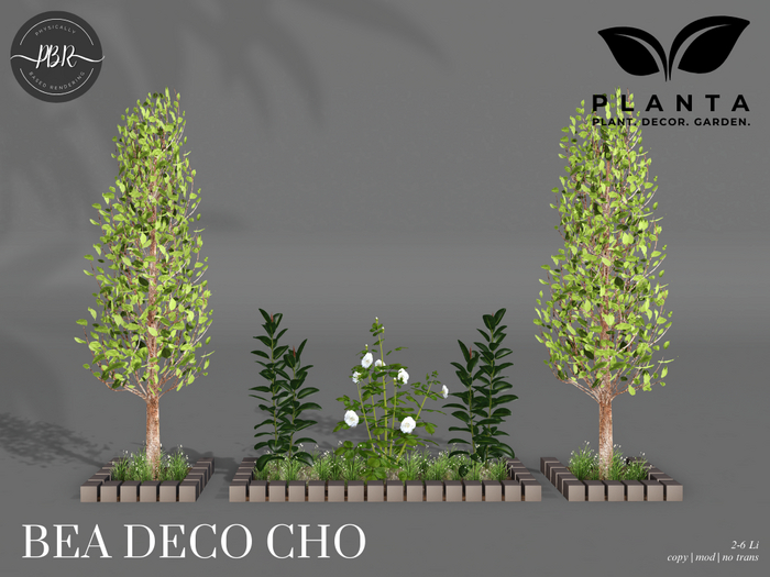 Planta - Bea Deco Cho