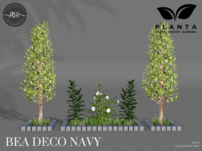 Planta - Bea Deco Navy
