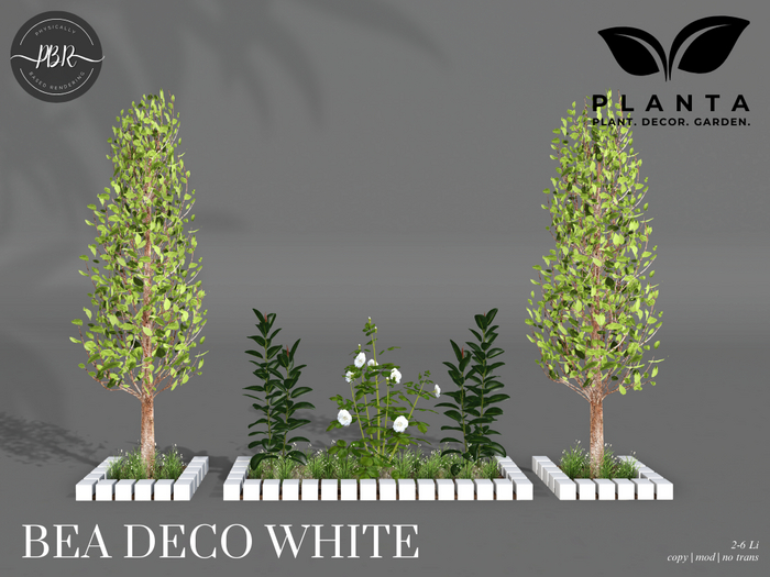Planta - Bea Deco White
