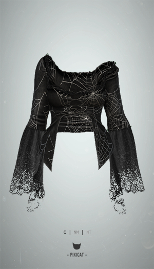 -Pixicat- Noctra Top (Web)