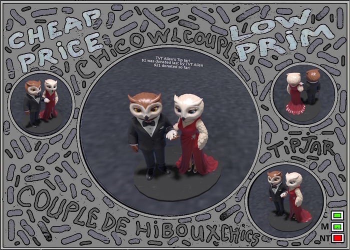 Chic Owl Couple TIPJAR