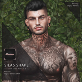 Pixelated - Silas Shape [Lel. EvoX Rune 4.0]