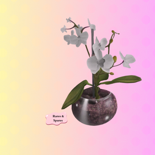 2. FINCA White Orchid
