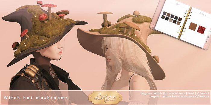 Lagom - Witch hat mushroom