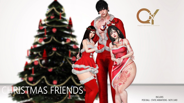 Q&Y  CHRISTMAS FRIENDS