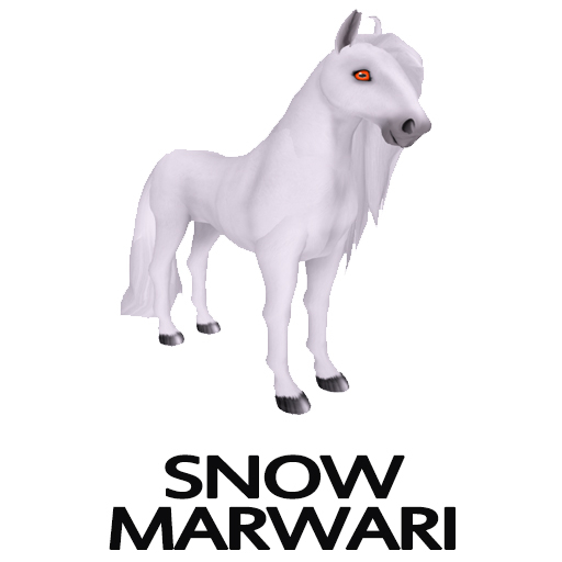 Female, Snow Marwari, Startastic!