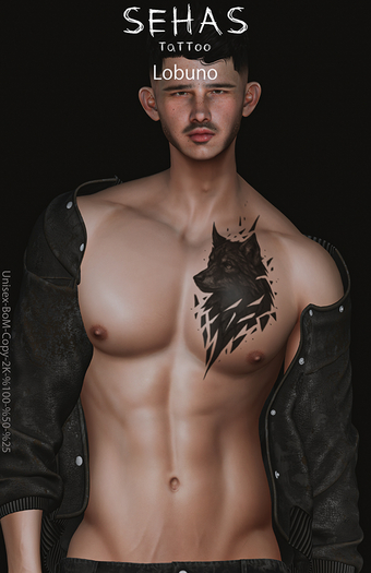 ::SEHAS::TaTToo Lobuno