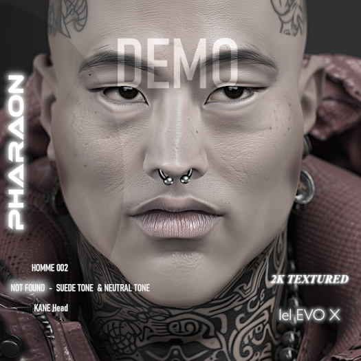 PHARAON - HOMME 002 / DEMO
